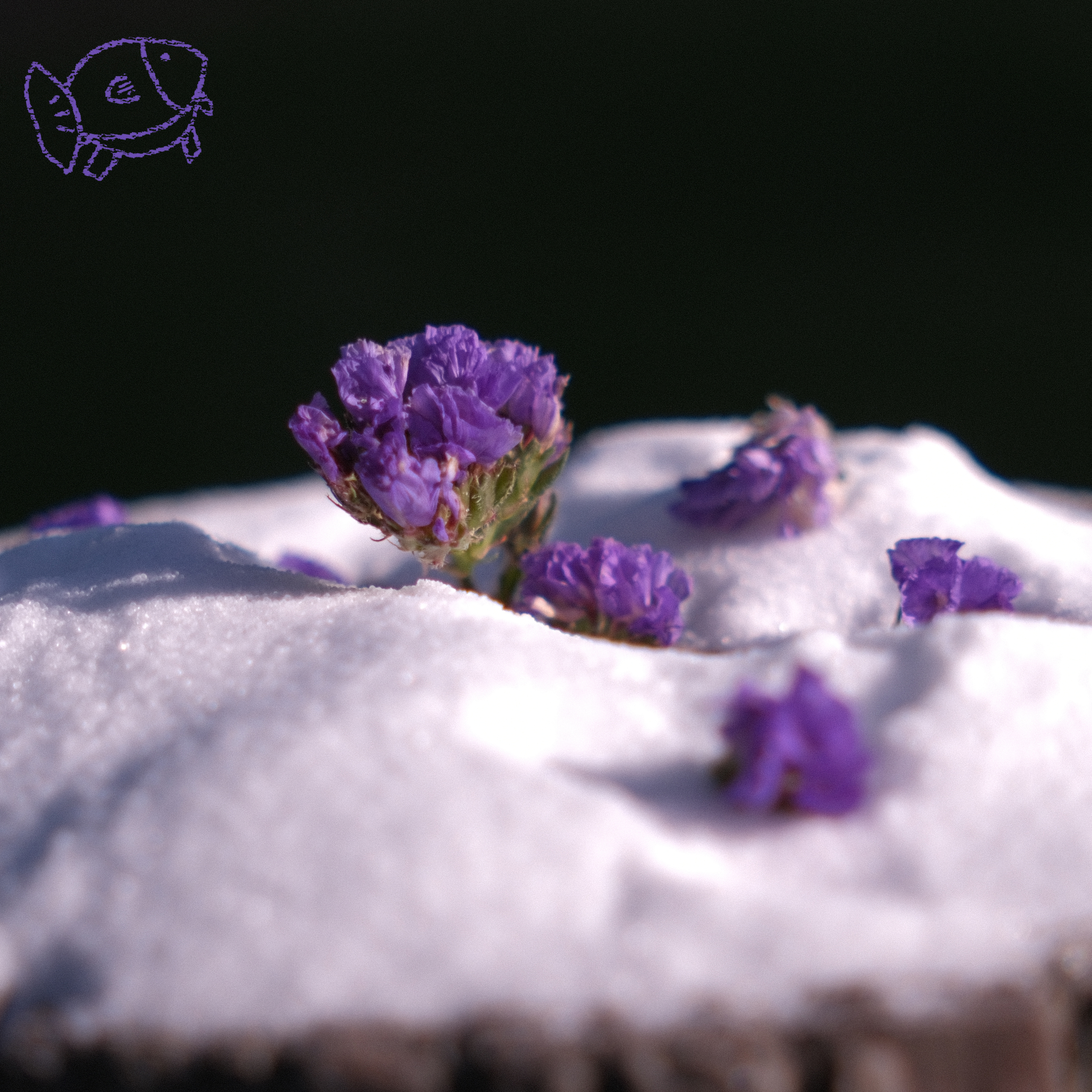 Purple flowers on a mound of salt on weathered wood